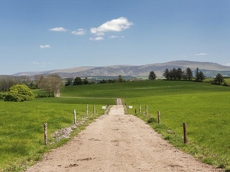 Curradoon House Villa Ballynamult Dış mekan fotoğraf